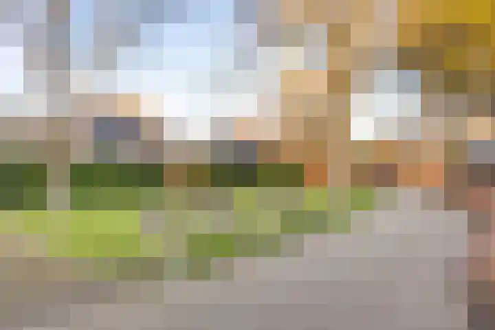 Koggewaard 109 Alkmaar thumbnail 51