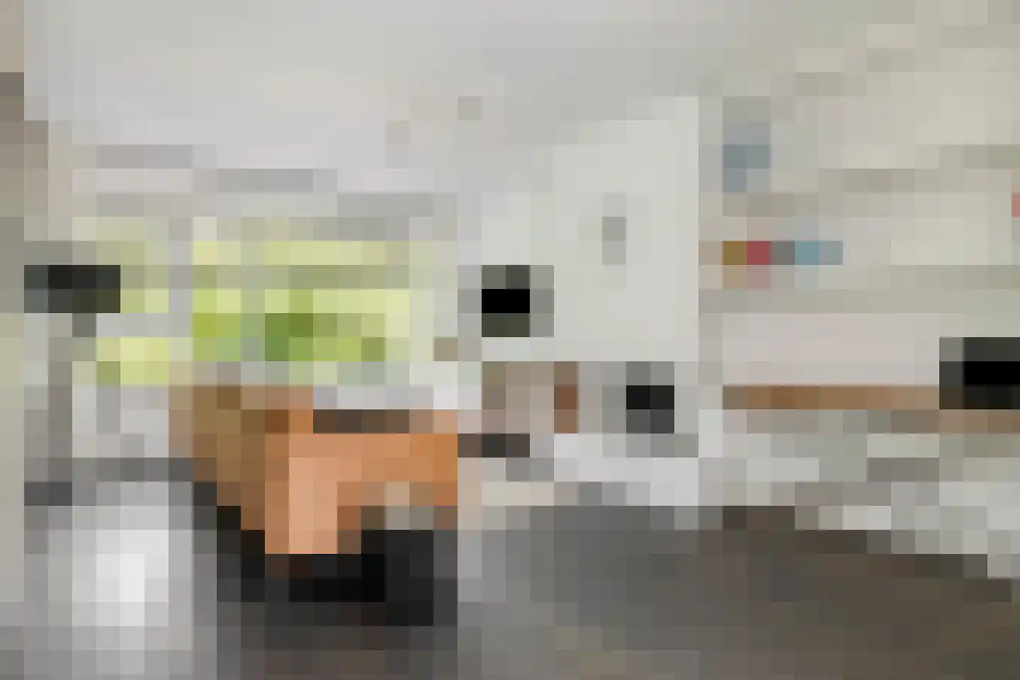 Koggewaard 113 Alkmaar thumbnail 10