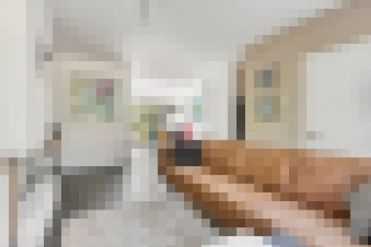 Koggewaard 113 Alkmaar thumbnail 12
