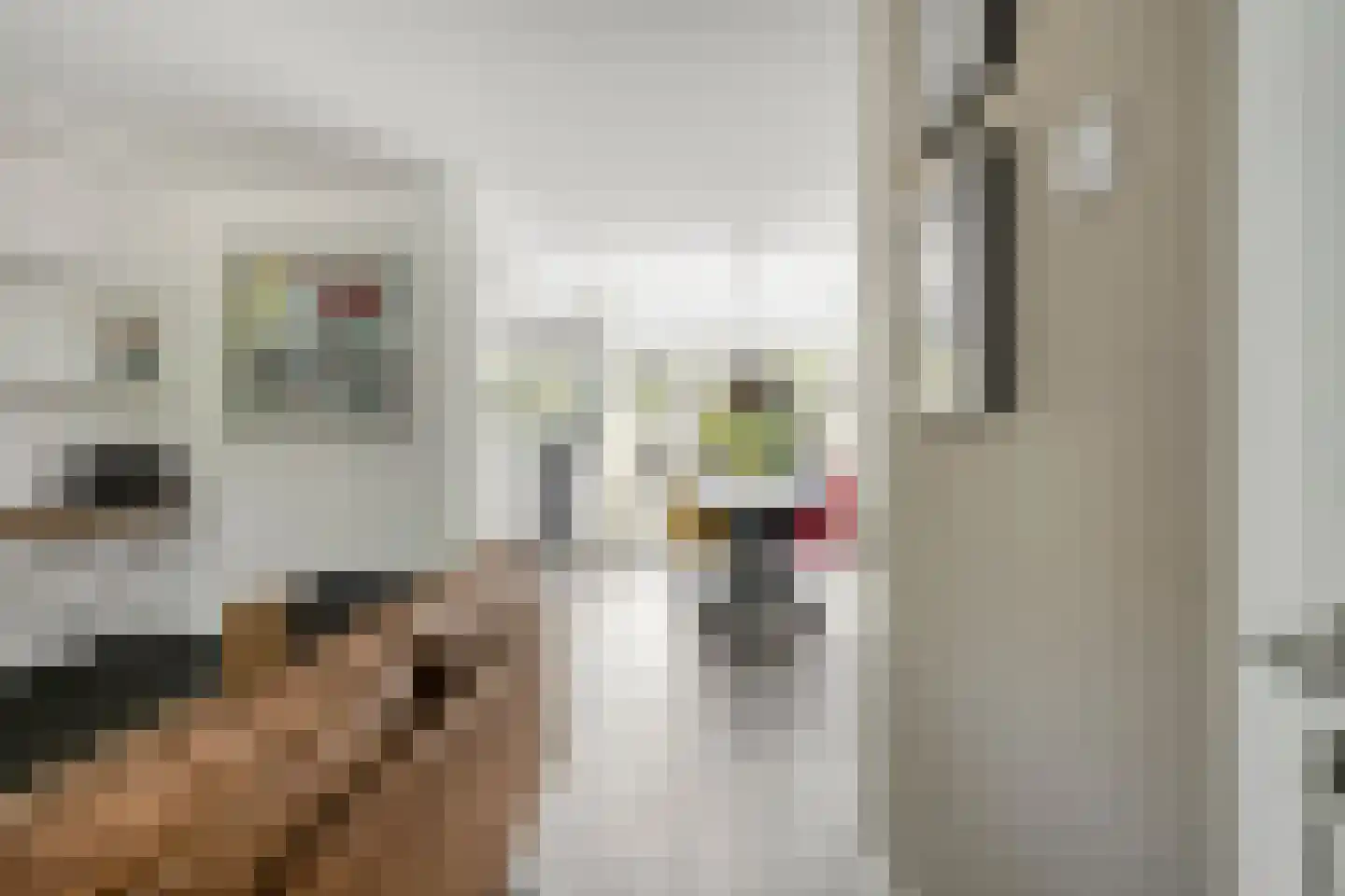 Koggewaard 113 Alkmaar thumbnail 13