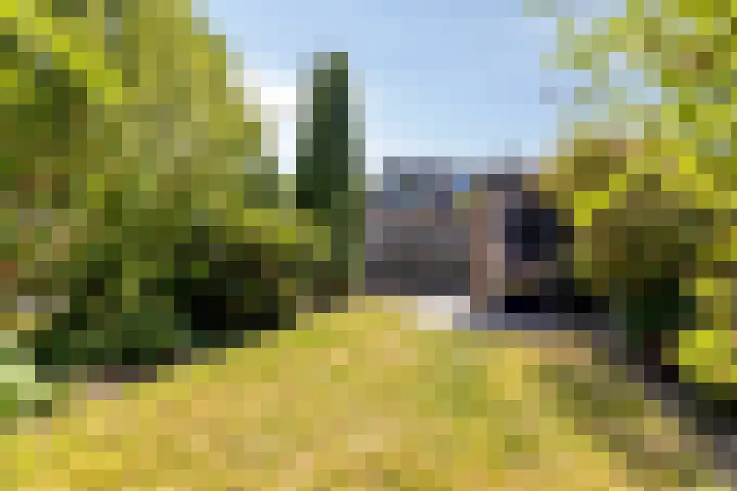 Koggewaard 113 Alkmaar thumbnail 22