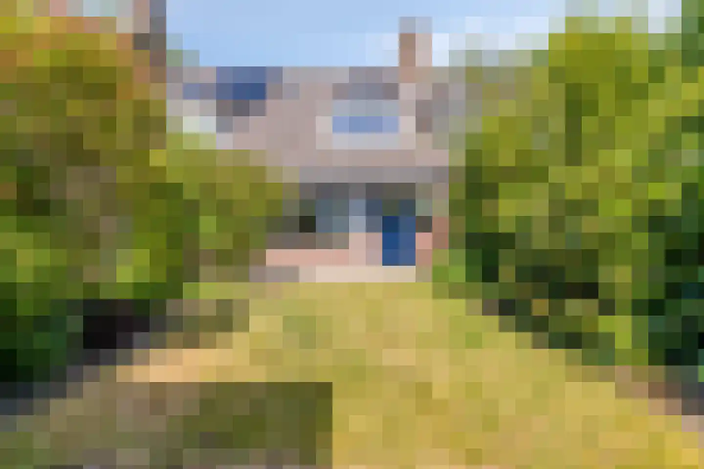 Koggewaard 113 Alkmaar thumbnail 24