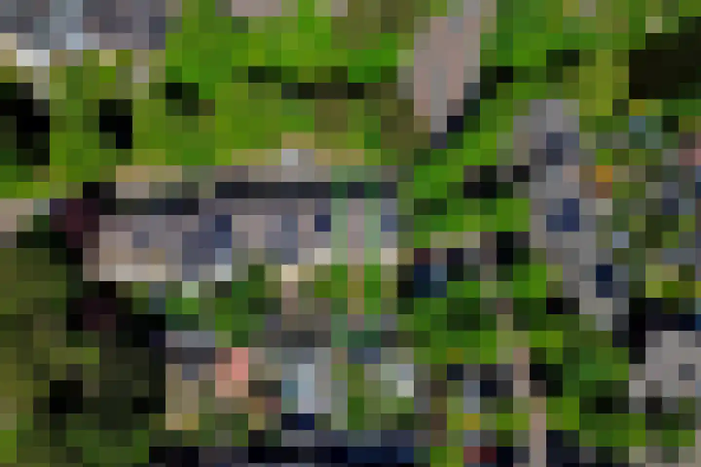 Koggewaard 113 Alkmaar thumbnail 26