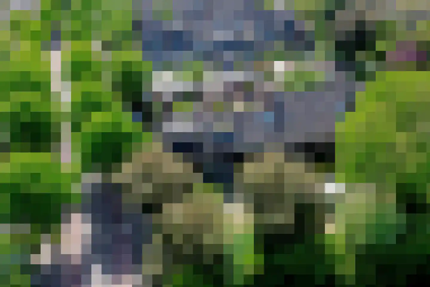 Koggewaard 113 Alkmaar thumbnail 4