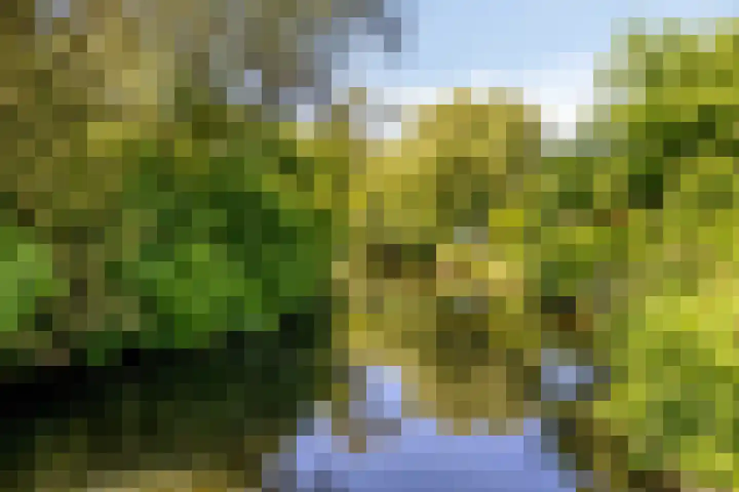 Koggewaard 113 Alkmaar thumbnail 42