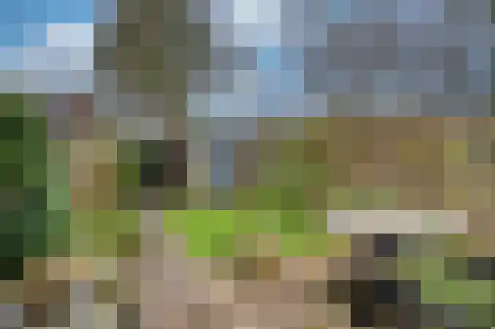 Koggewaard 119 Alkmaar thumbnail 37