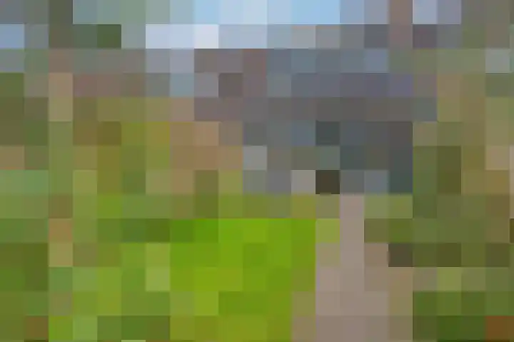 Koggewaard 119 Alkmaar thumbnail 38