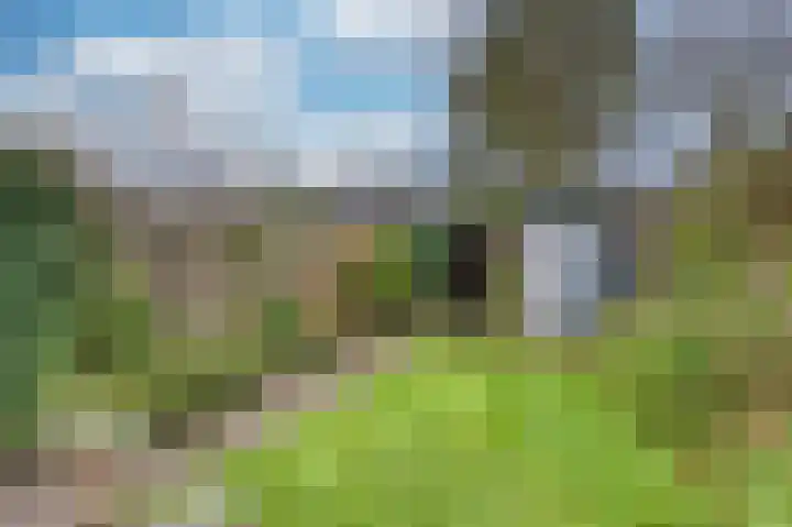 Koggewaard 119 Alkmaar thumbnail 4