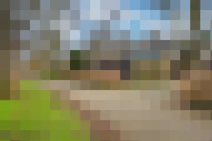Koggewaard 119 Alkmaar thumbnail 41