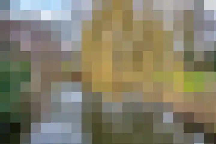 Koggewaard 119 Alkmaar thumbnail 52