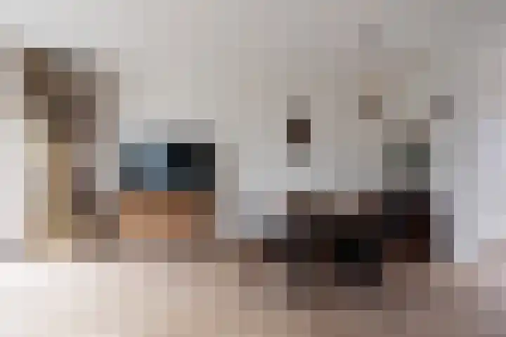Koggewaard 146 Alkmaar thumbnail 8