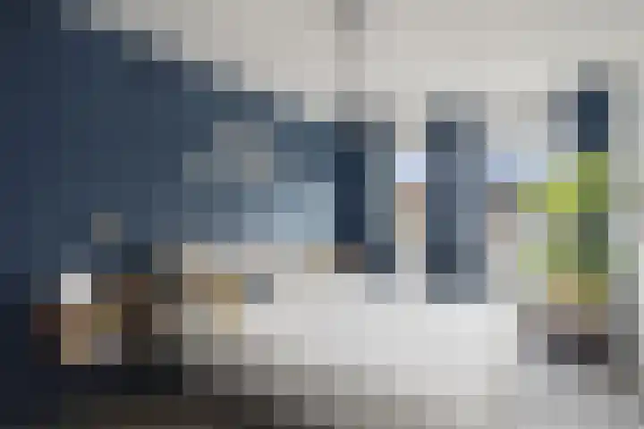 Koggewaard 156 Alkmaar thumbnail 24
