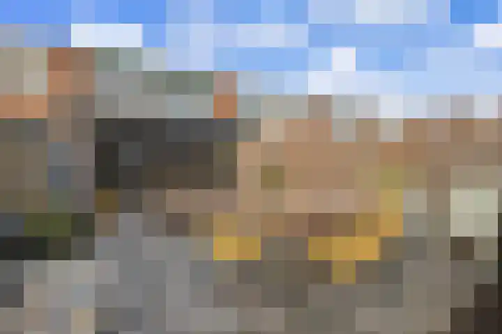 Koggewaard 156 Alkmaar thumbnail 32