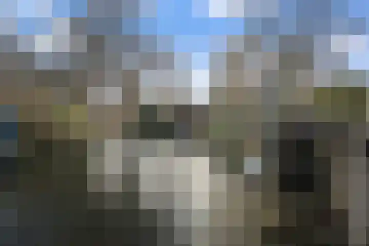 Koggewaard 156 Alkmaar thumbnail 39