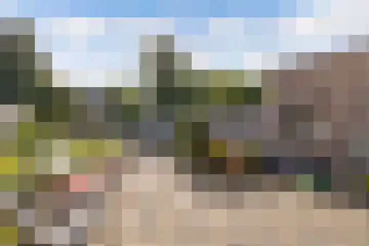 Koggewaard 157 Alkmaar thumbnail 18