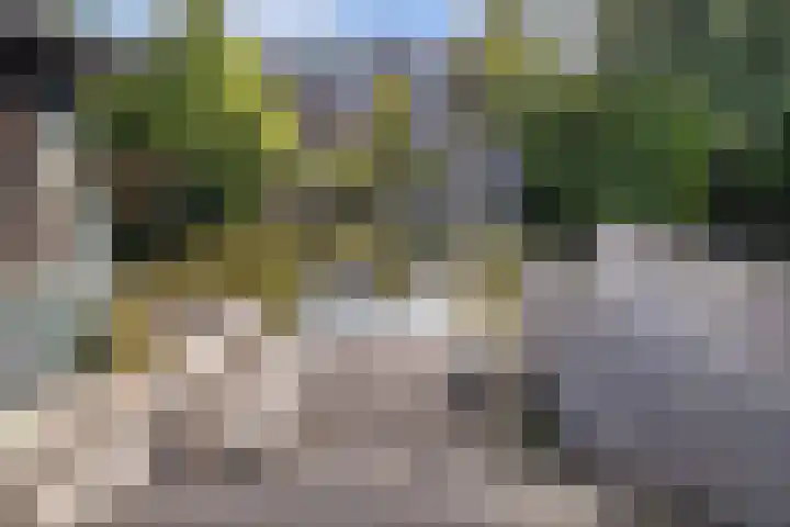 Koggewaard 157 Alkmaar thumbnail 20