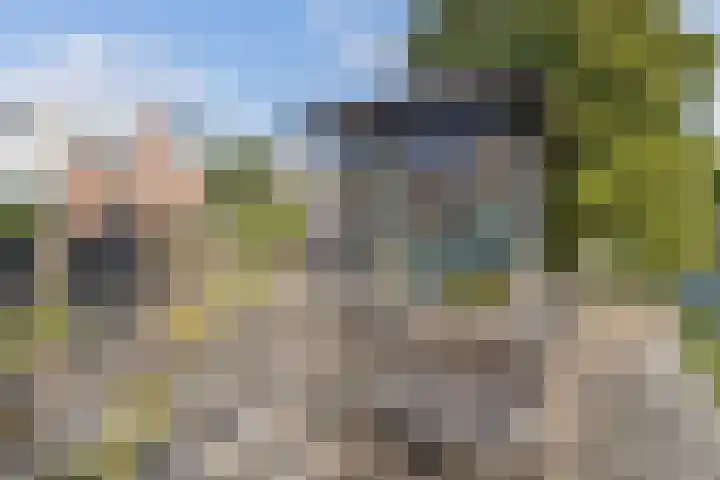 Koggewaard 157 Alkmaar thumbnail 21