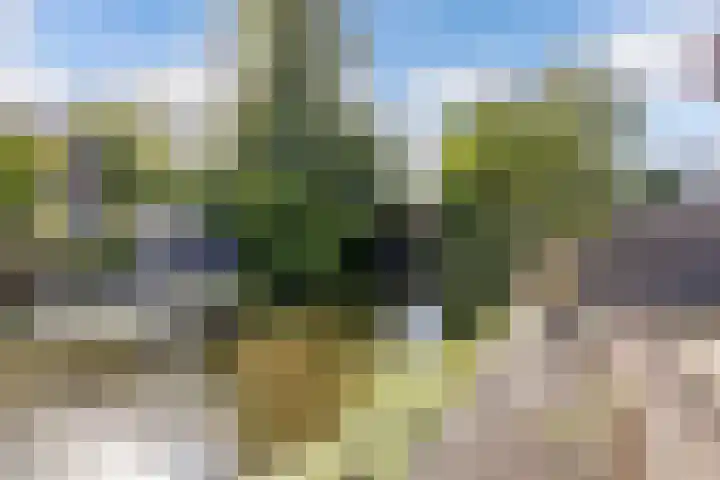 Koggewaard 157 Alkmaar thumbnail 22