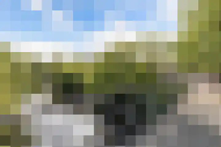 Koggewaard 157 Alkmaar thumbnail 26