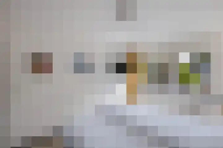 Koggewaard 157 Alkmaar thumbnail 31