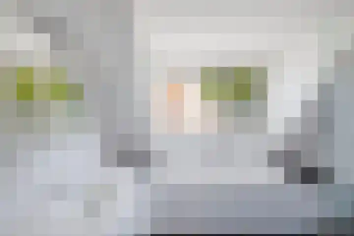 Koggewaard 157 Alkmaar thumbnail 37
