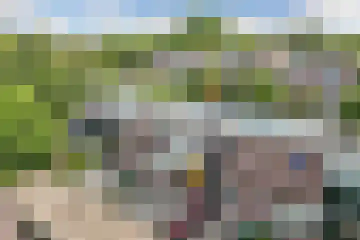 Koggewaard 157 Alkmaar thumbnail 5