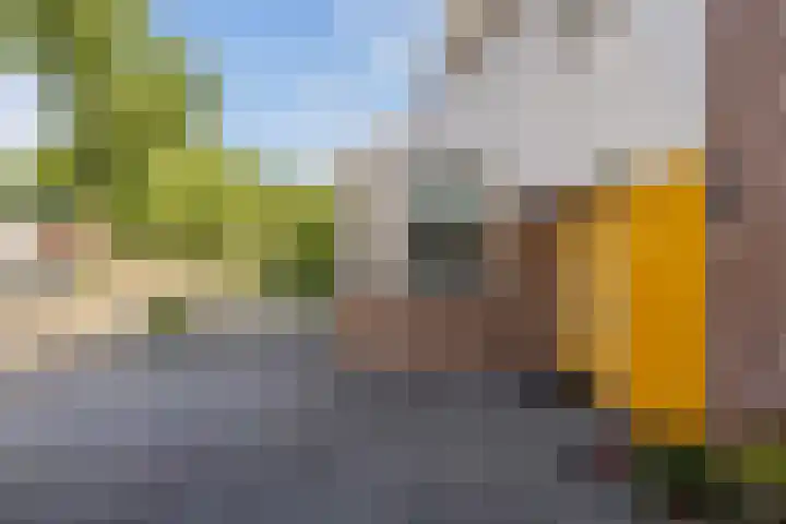 Koggewaard 157 Alkmaar thumbnail 6