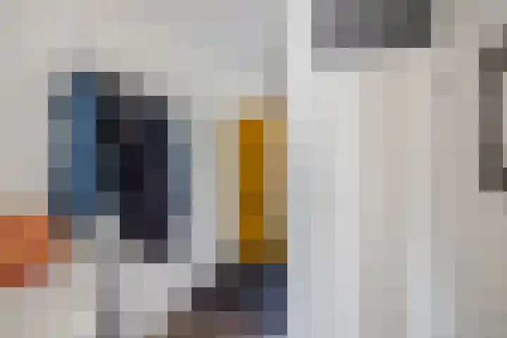Koggewaard 157 Alkmaar thumbnail 7