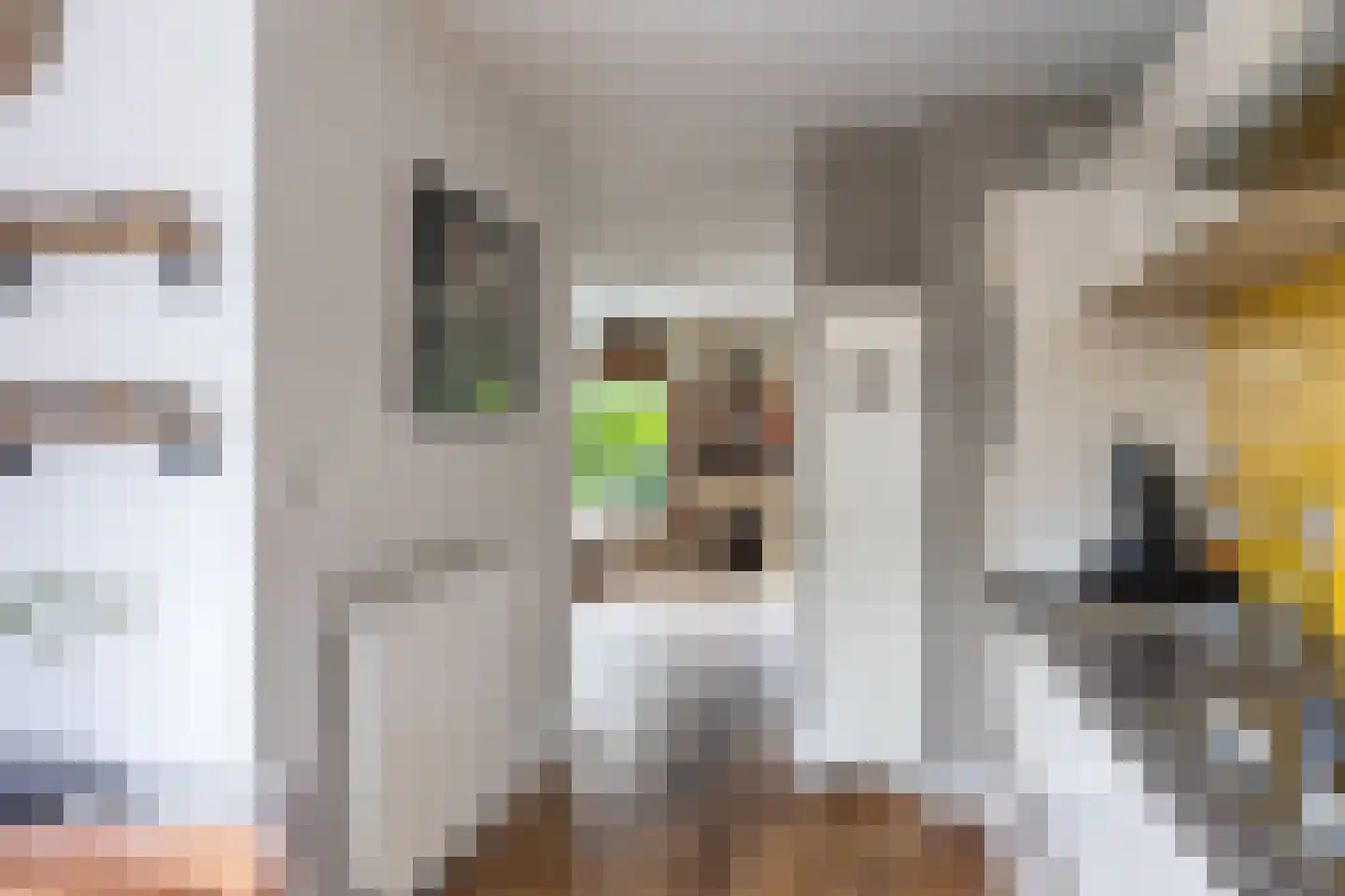 Koggewaard 158 Alkmaar thumbnail 15