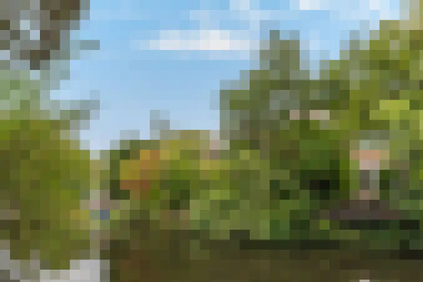 Koggewaard 158 Alkmaar thumbnail 39
