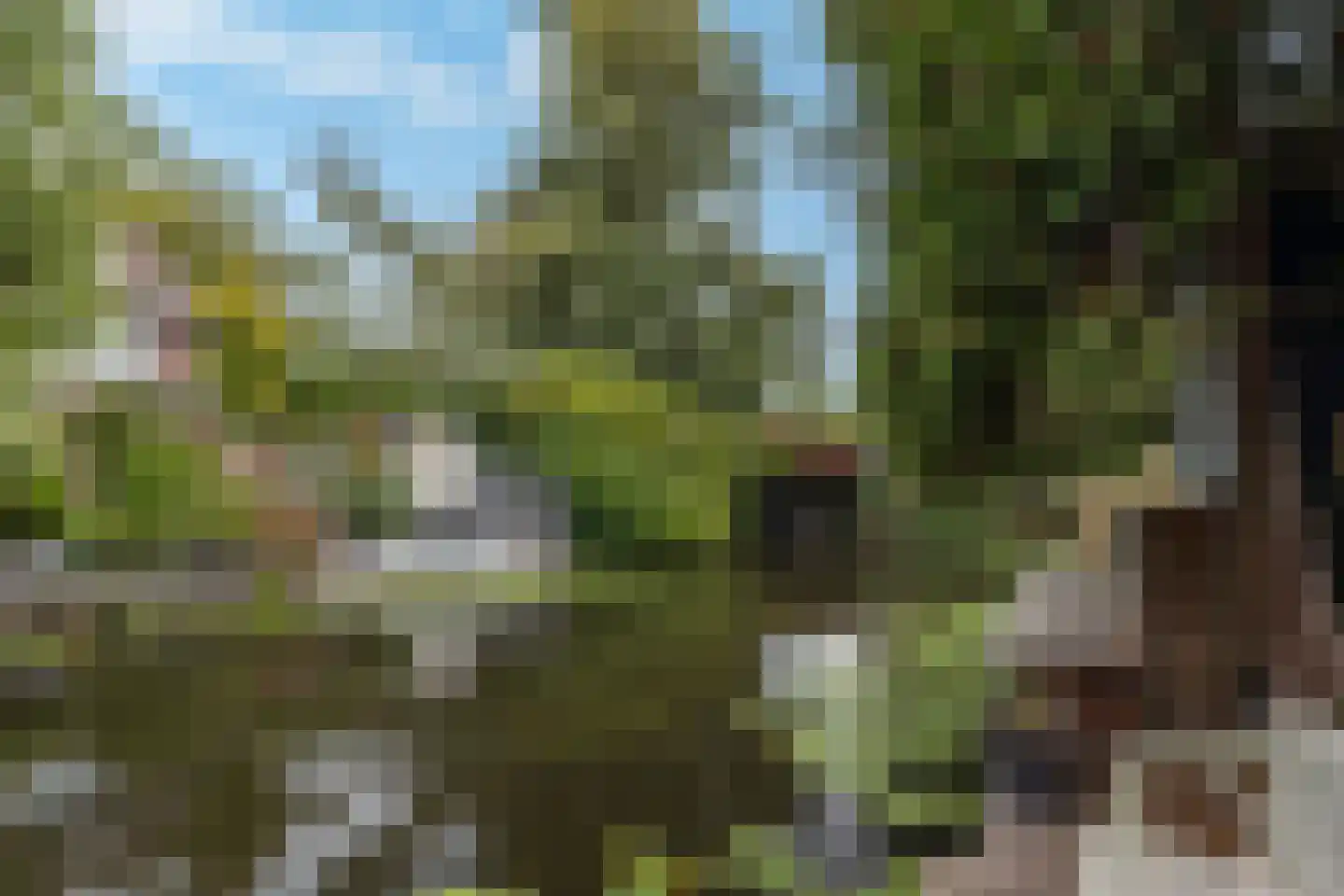 Koggewaard 158 Alkmaar thumbnail 4