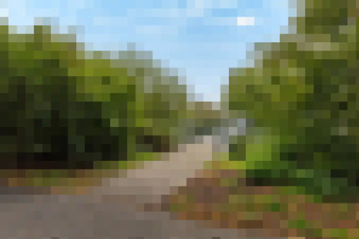 Koggewaard 158 Alkmaar thumbnail 45