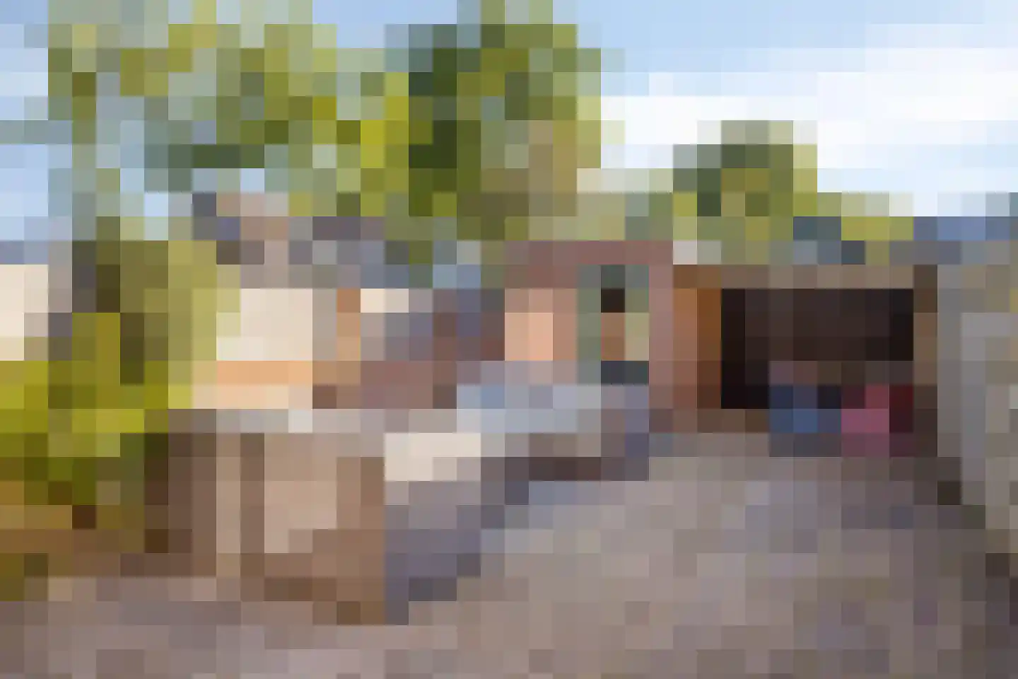 Koggewaard 182 Alkmaar thumbnail 19