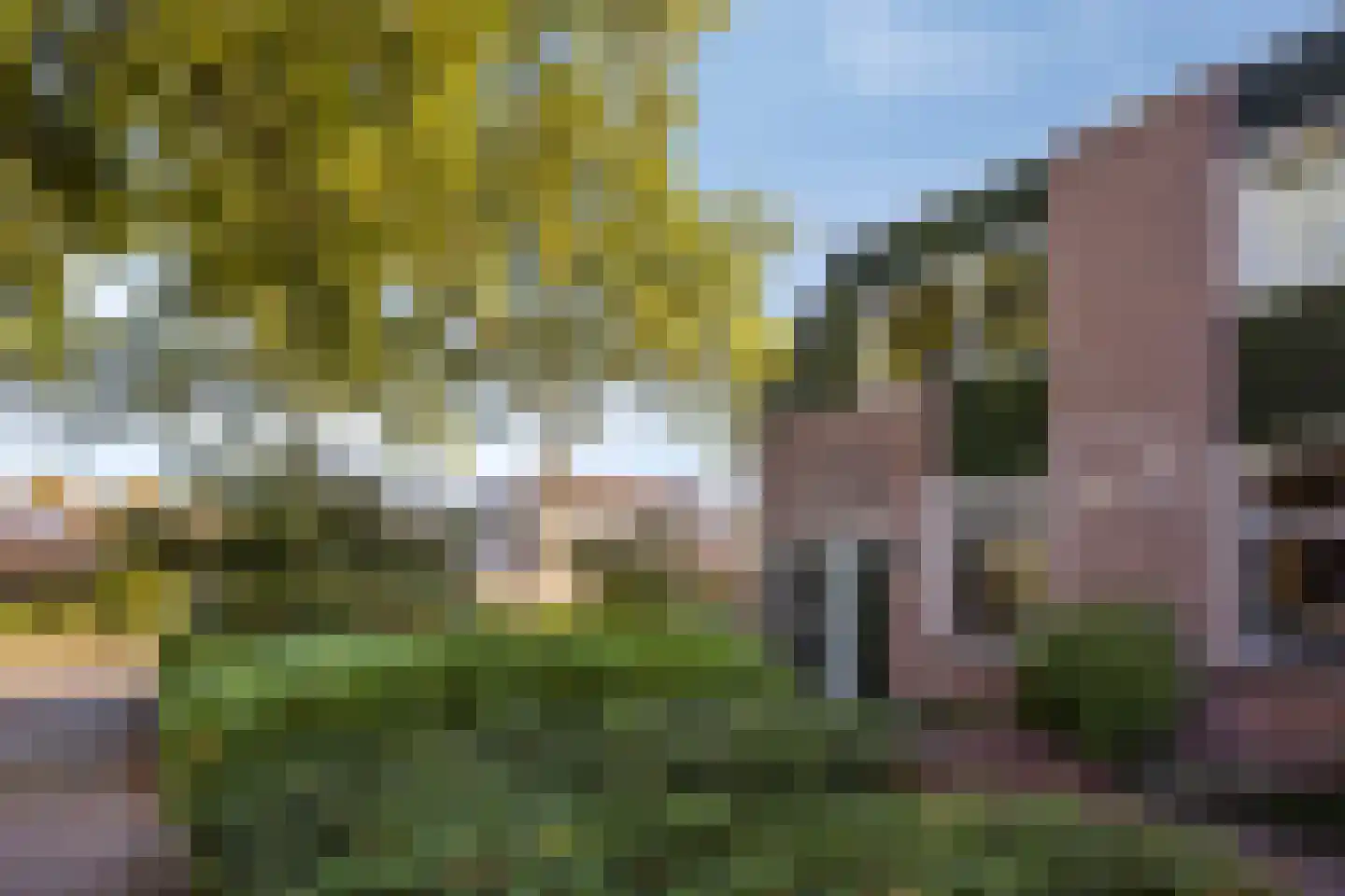 Koggewaard 182 Alkmaar thumbnail 22