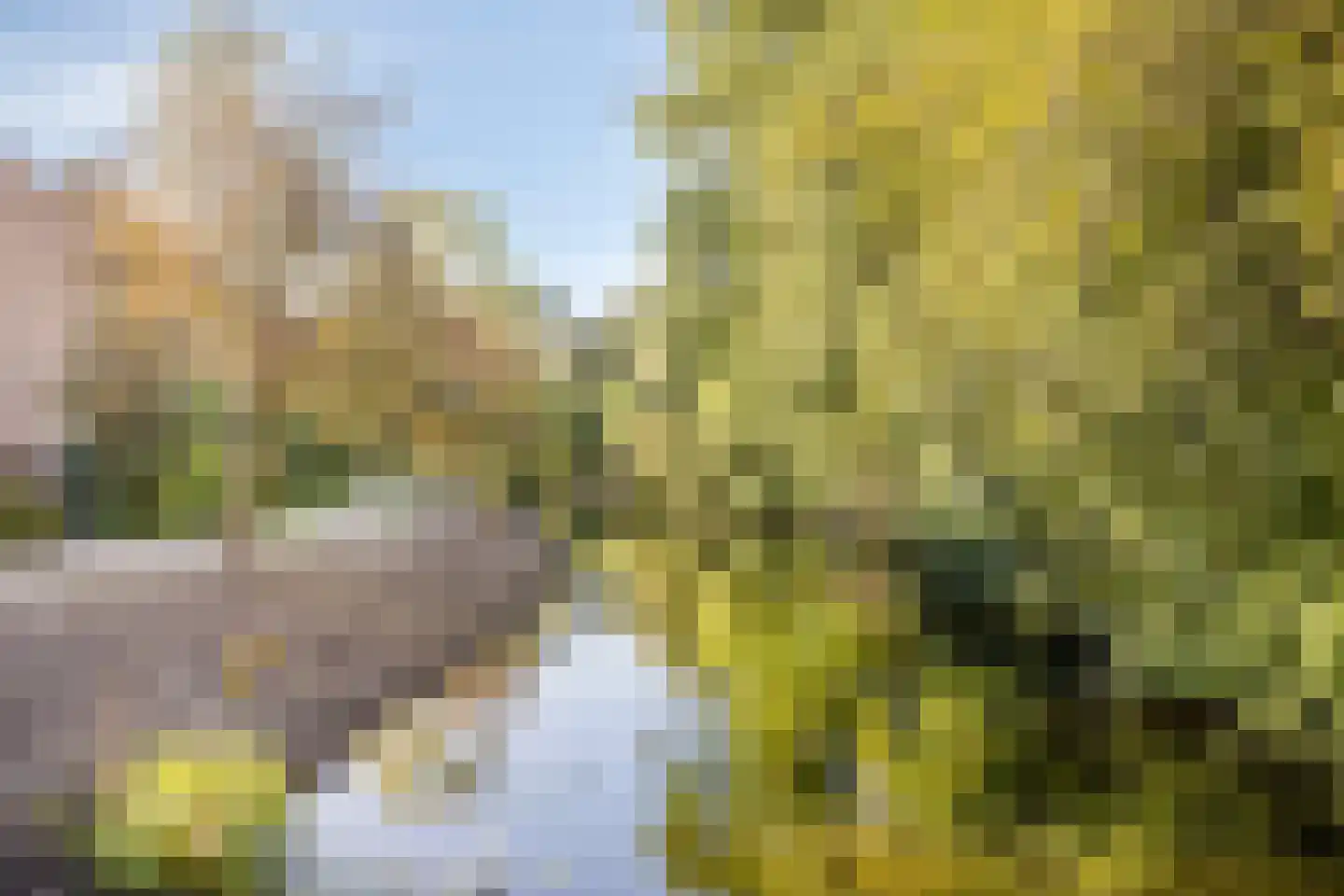 Koggewaard 182 Alkmaar thumbnail 31