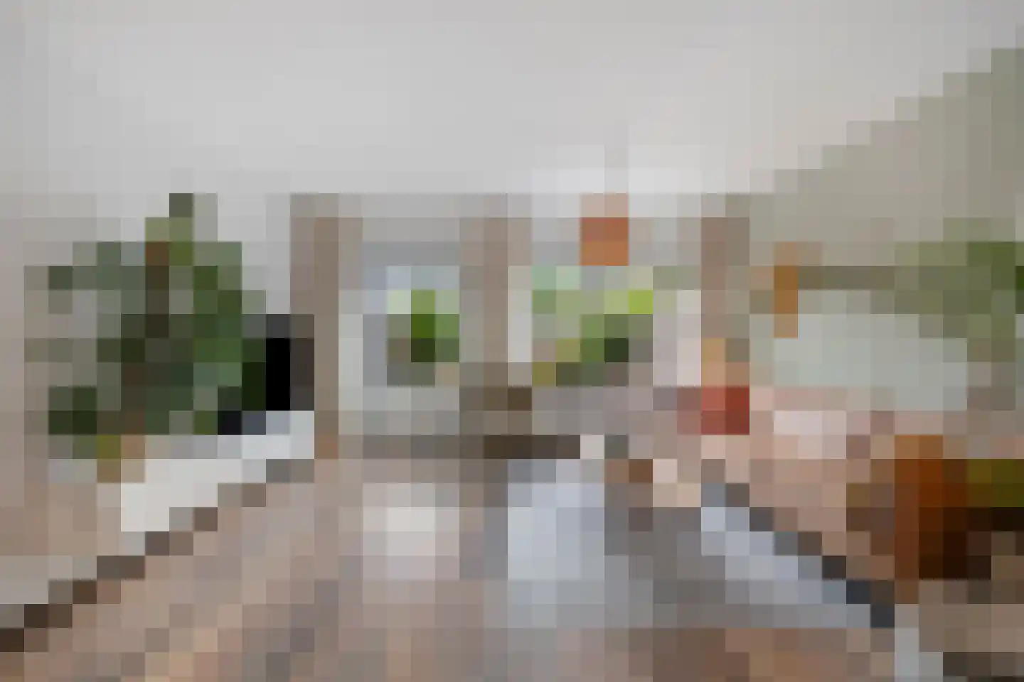 Koggewaard 206 Alkmaar thumbnail 12
