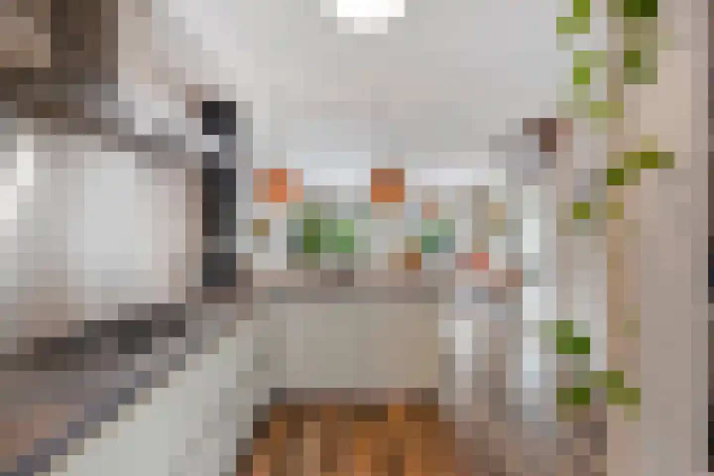 Koggewaard 206 Alkmaar thumbnail 19