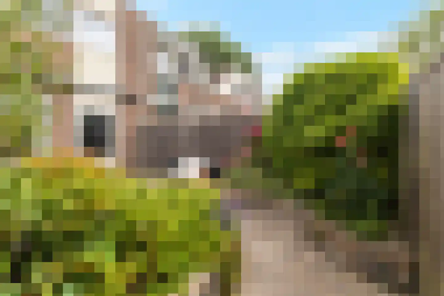 Koggewaard 206 Alkmaar thumbnail 32
