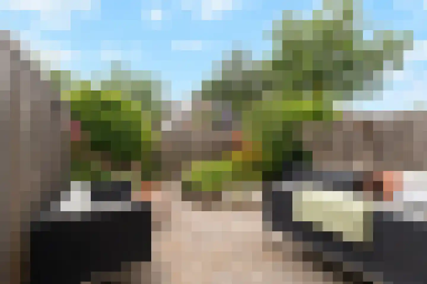 Koggewaard 206 Alkmaar thumbnail 4