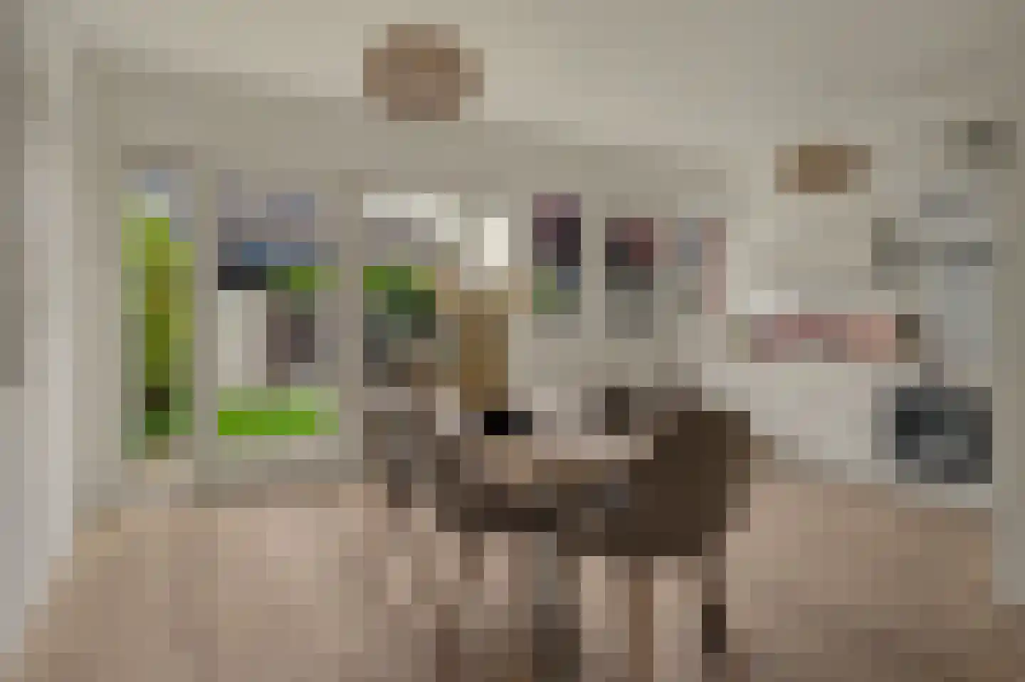 Koggewaard 30 Alkmaar thumbnail 11