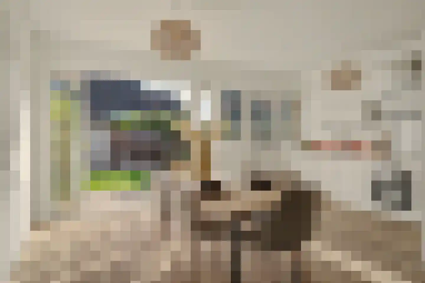 Koggewaard 30 Alkmaar thumbnail 13