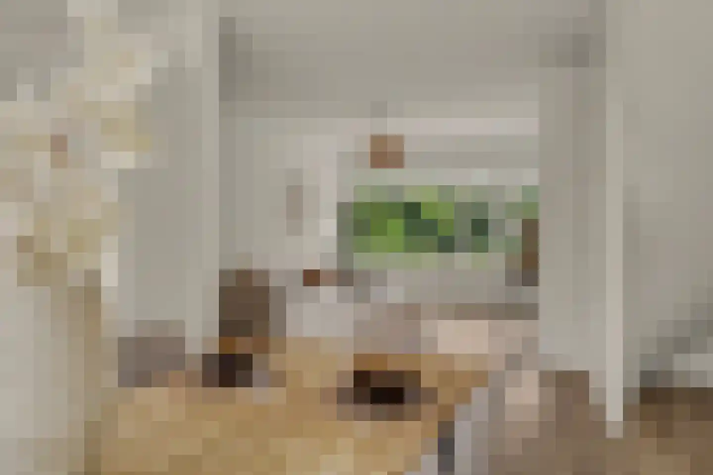 Koggewaard 30 Alkmaar thumbnail 18