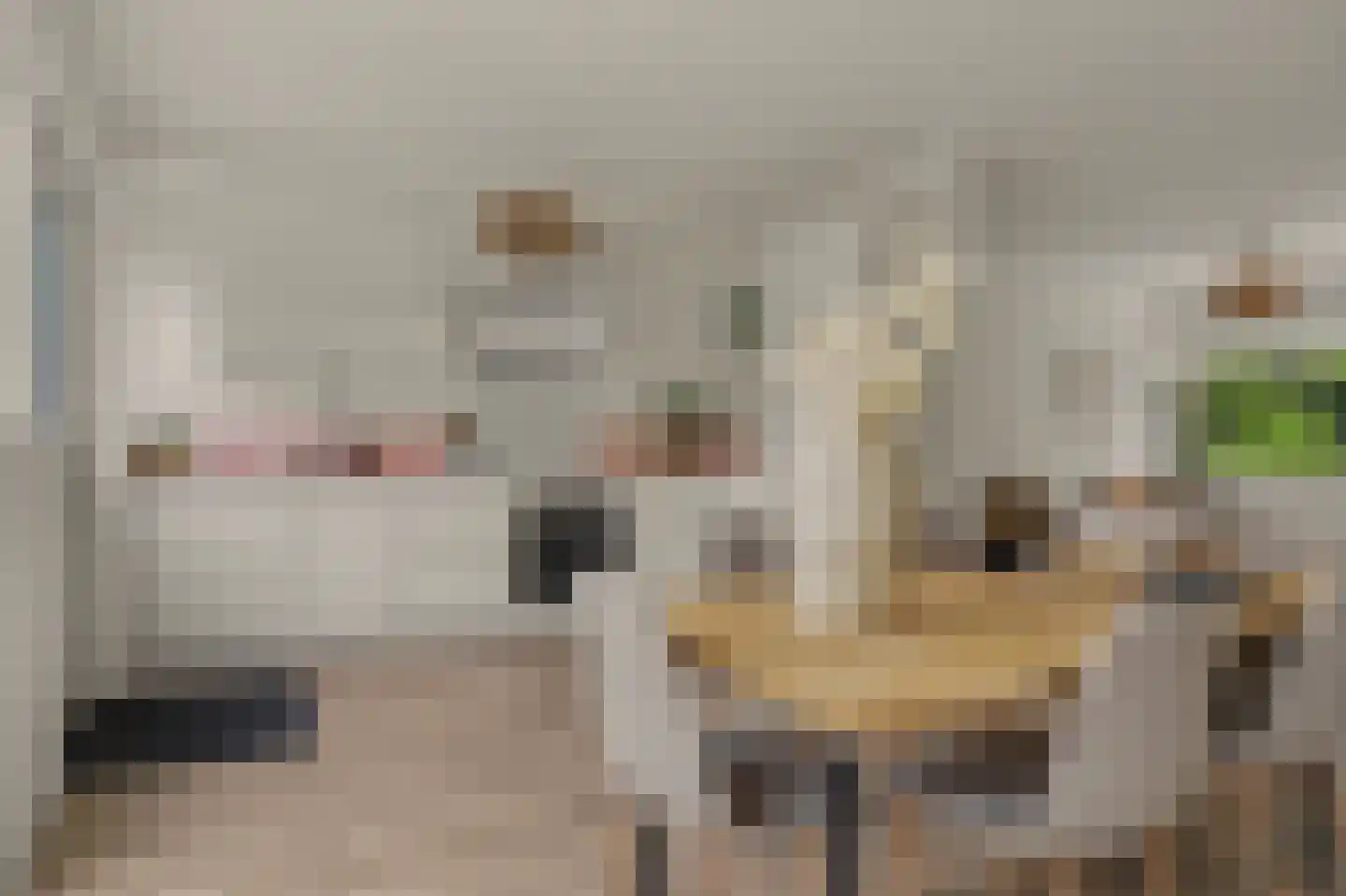 Koggewaard 30 Alkmaar thumbnail 19