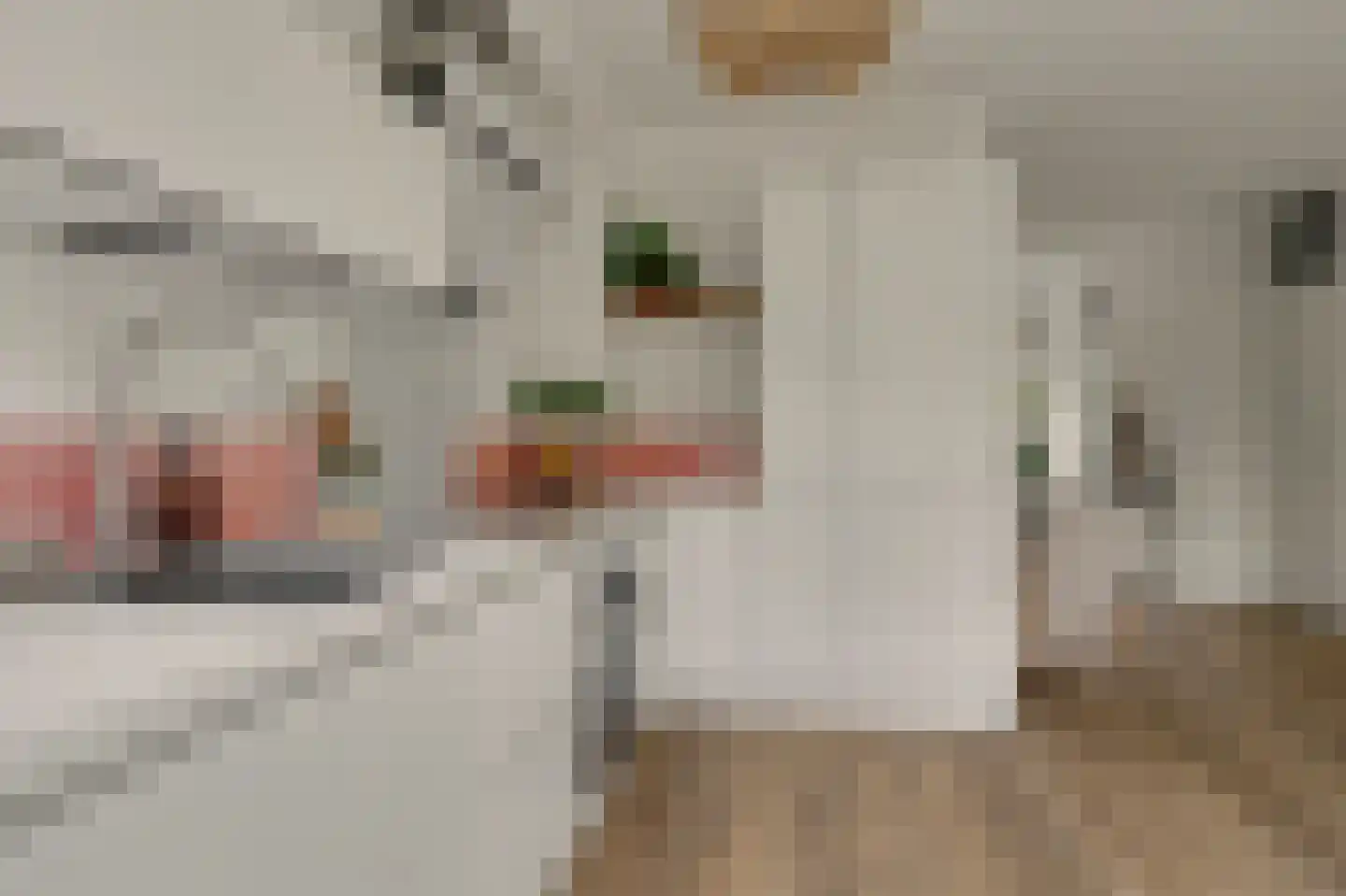 Koggewaard 30 Alkmaar thumbnail 21