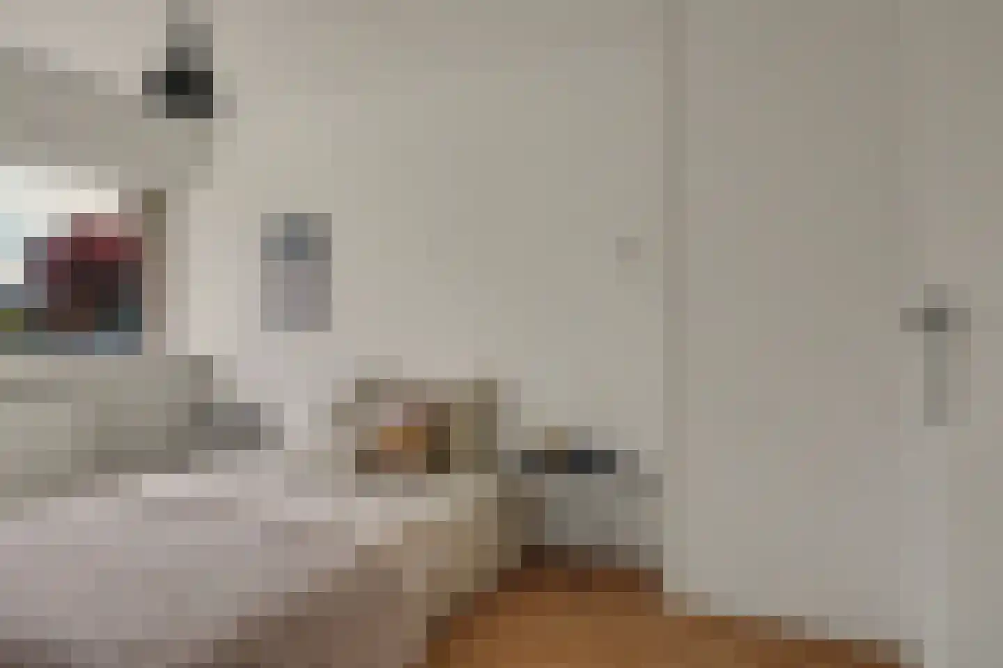 Koggewaard 30 Alkmaar thumbnail 28