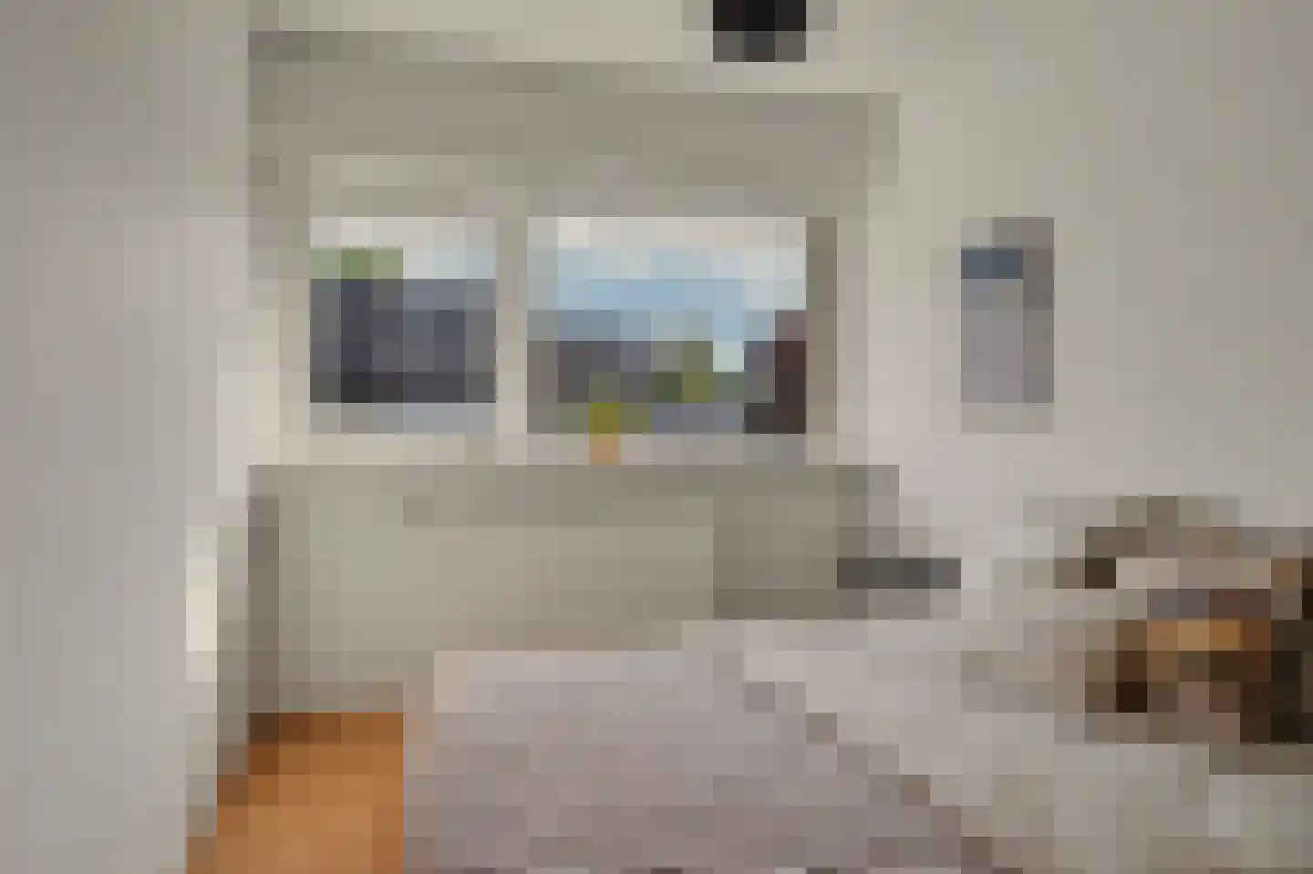 Koggewaard 30 Alkmaar thumbnail 29