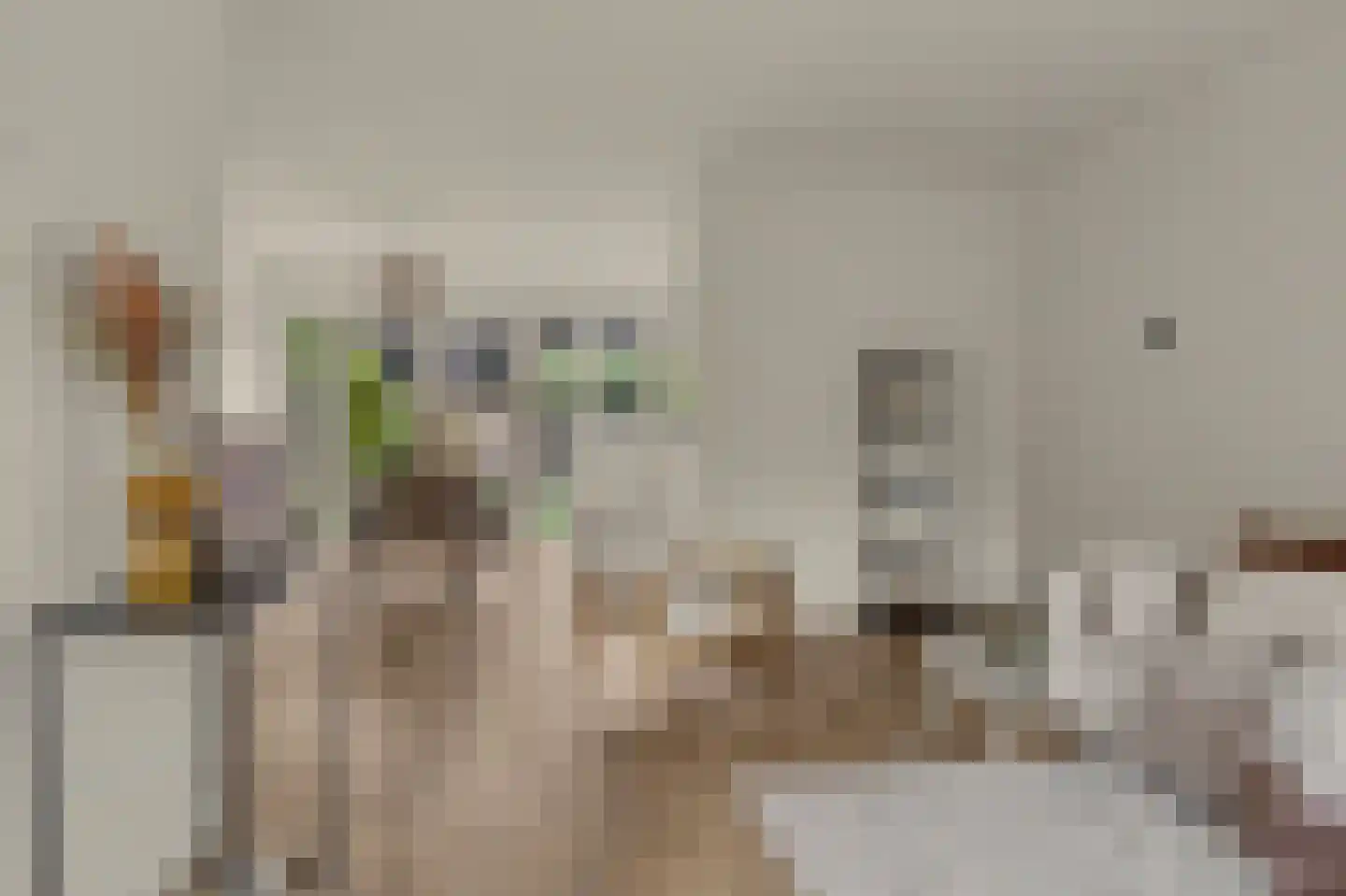 Koggewaard 30 Alkmaar thumbnail 4