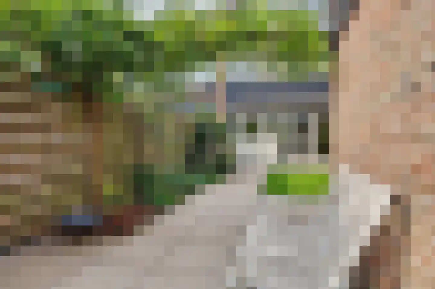 Koggewaard 30 Alkmaar thumbnail 43