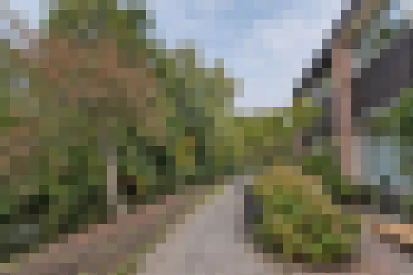 Koggewaard 30 Alkmaar thumbnail 48