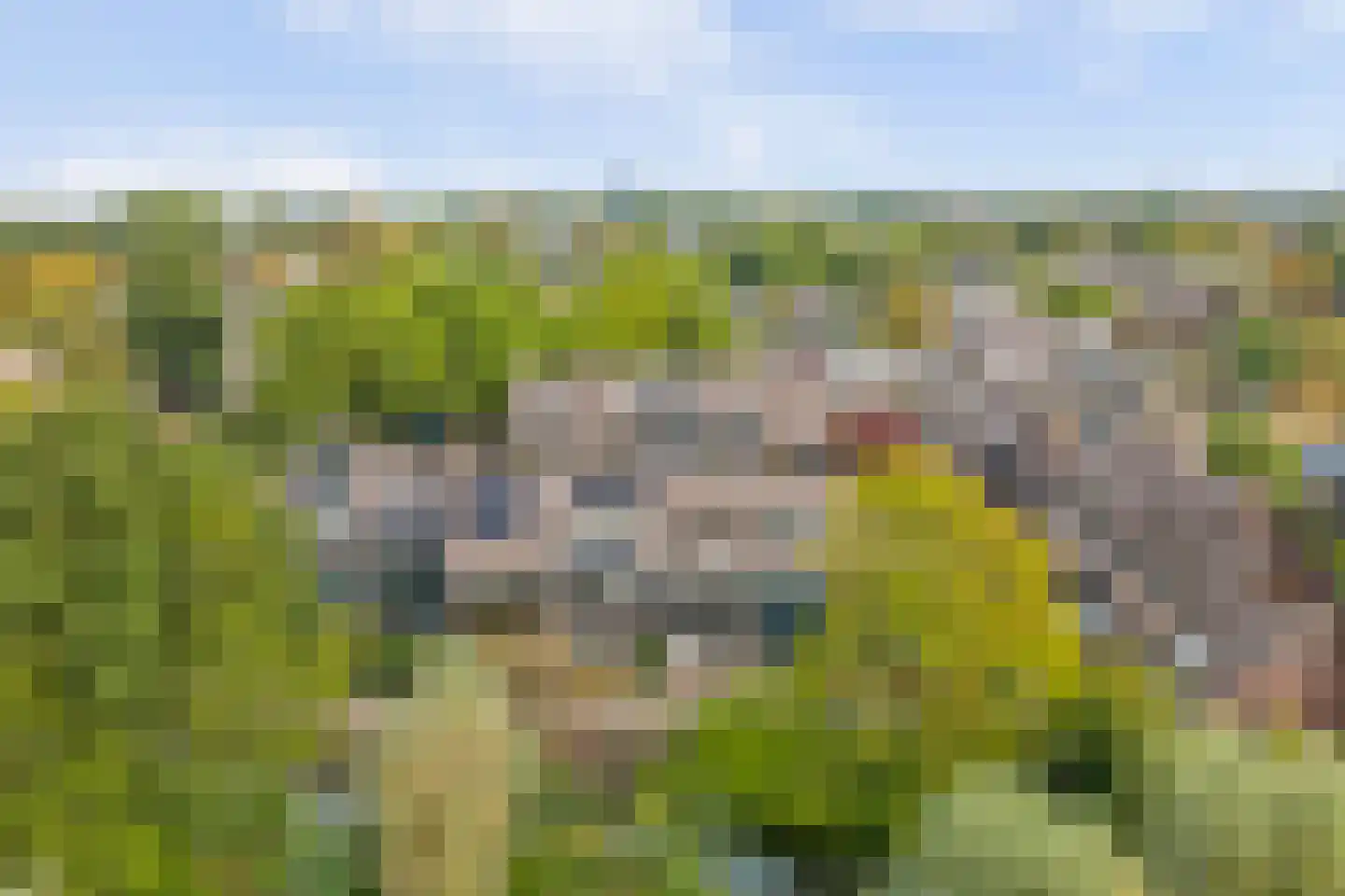 Koggewaard 30 Alkmaar thumbnail 49